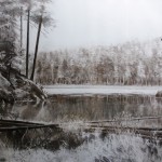 "ALGONQUIN PARK" Ontario